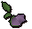 Cave nightshade