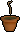 Papaya sapling